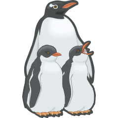 Pingouins