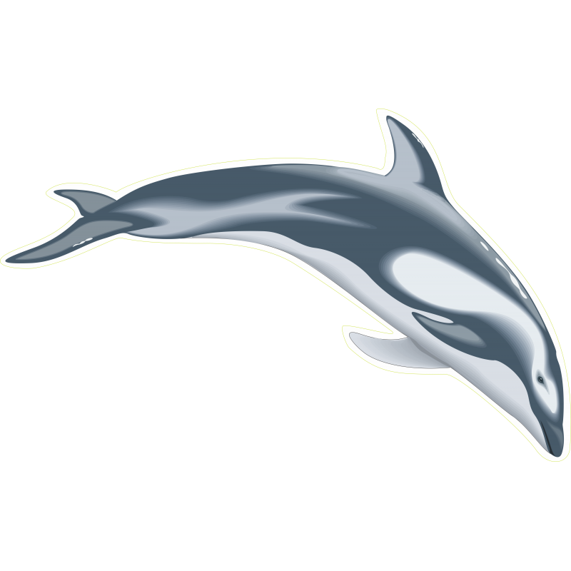 Dauphin