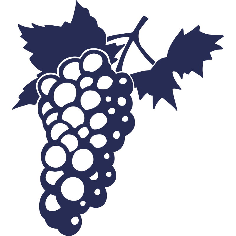 Grappe raisin