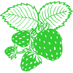 Fraises