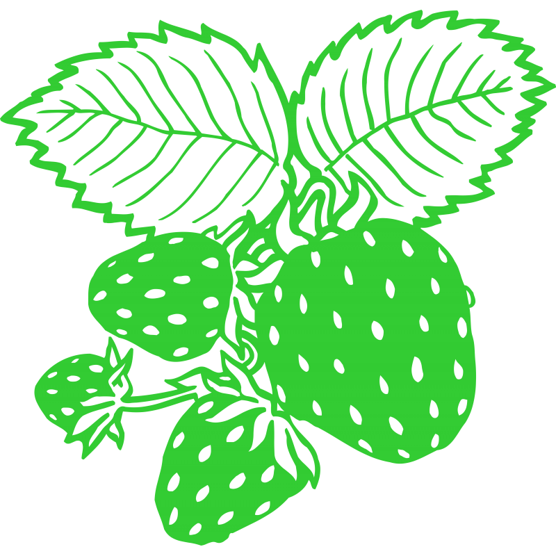 Fraises