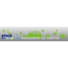 Frise tortue et herbes