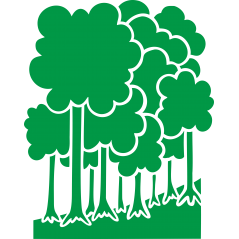 Foret
