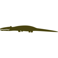 Crocodile