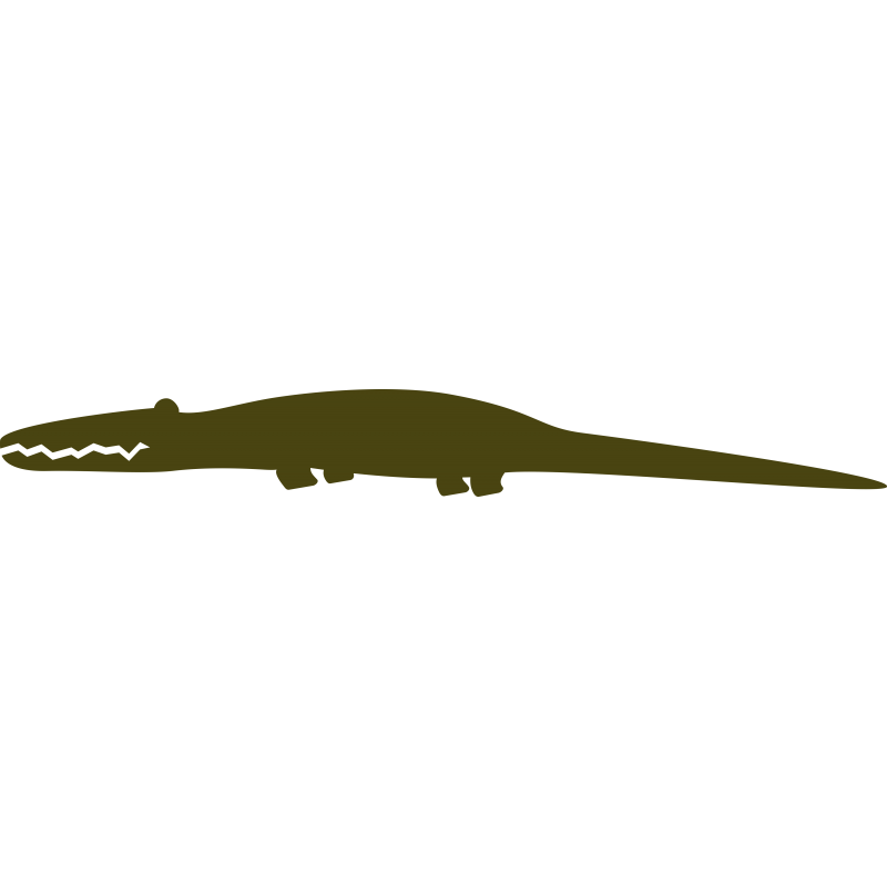 Crocodile
