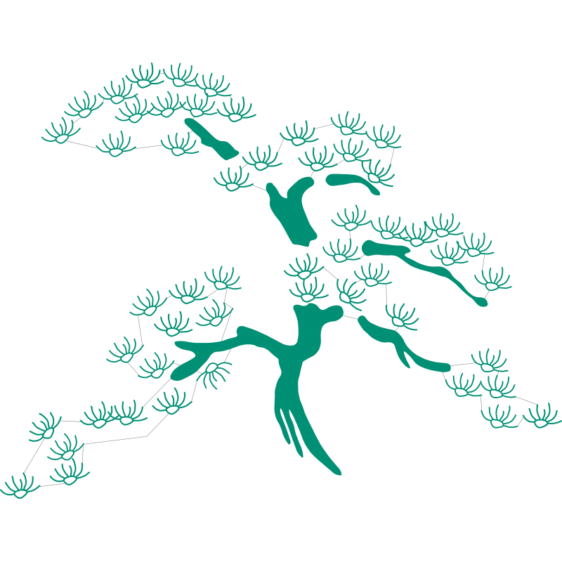 Bonzai