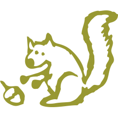 Ecureuil et noisette