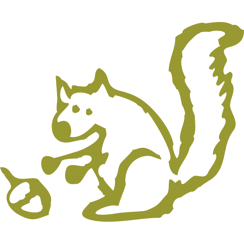 Ecureuil et noisette