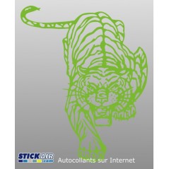 Tigre