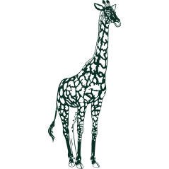 Girafe