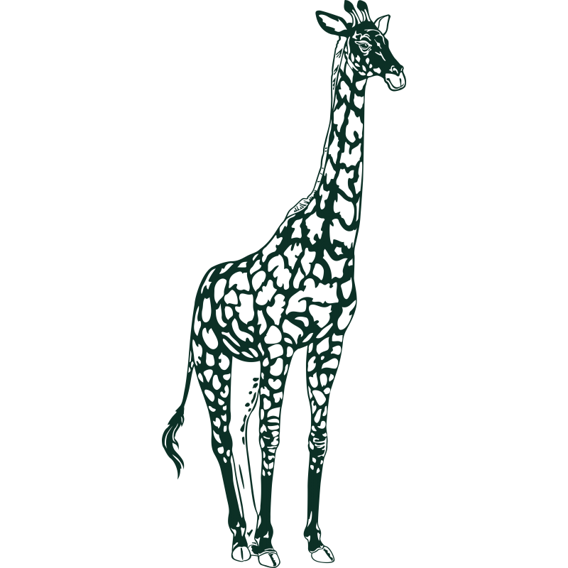 Girafe