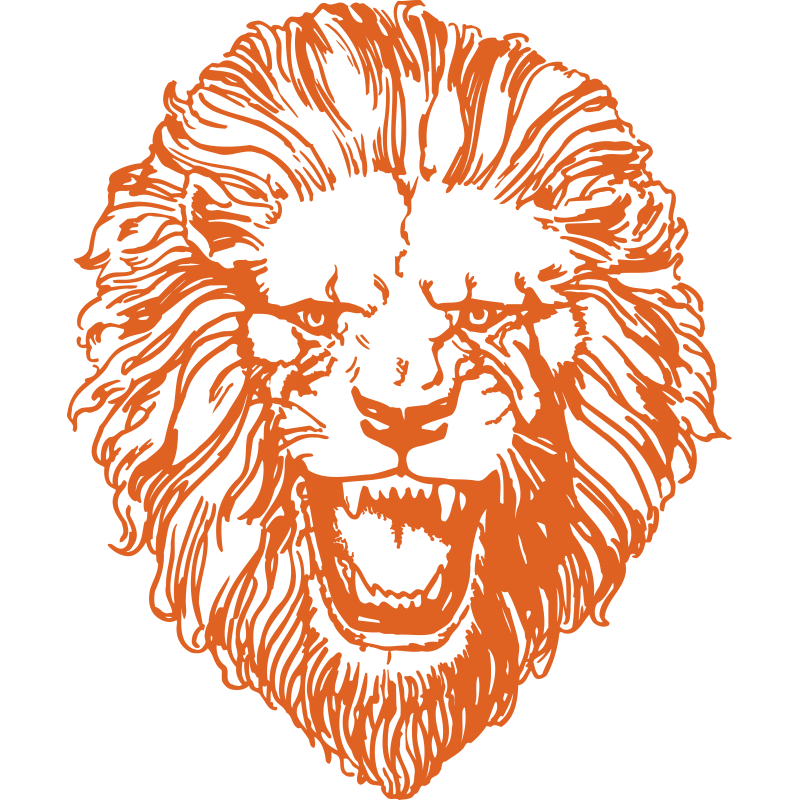 Lion Lion