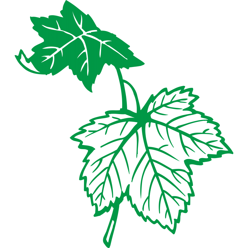Feuille