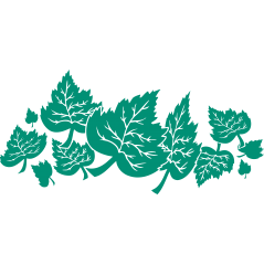 Feuilles