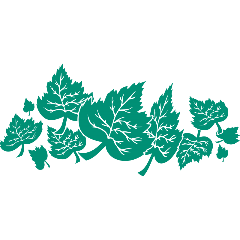 Feuilles