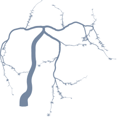 Arbre