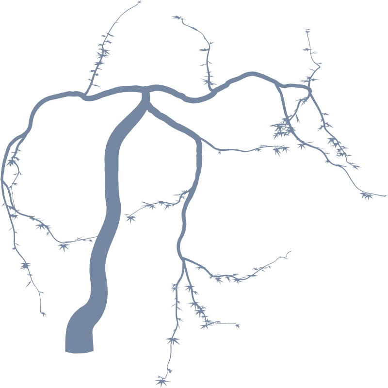 Arbre