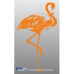 Flamant rose