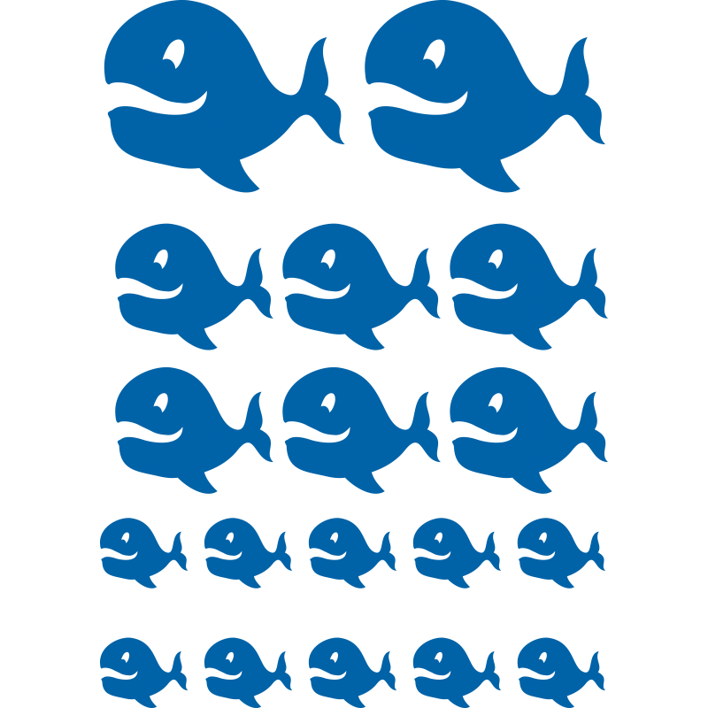 Planche Baleines Planche Baleines