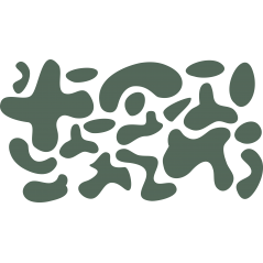 Camouflage