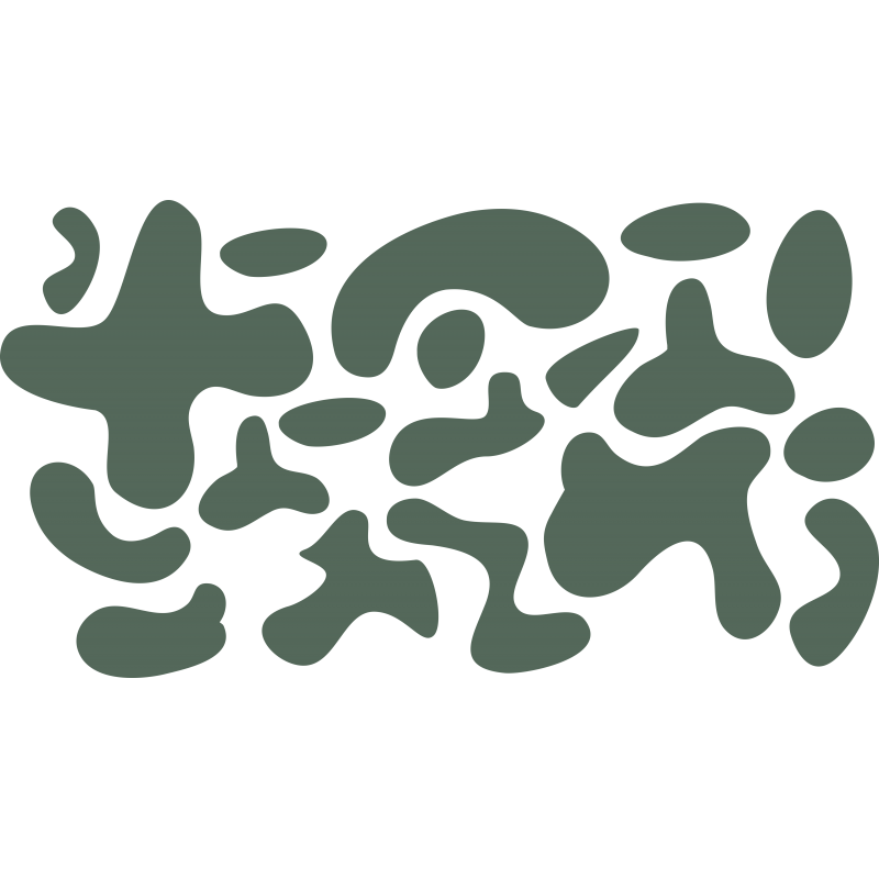 Camouflage