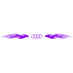 Pare soleil flaming audi