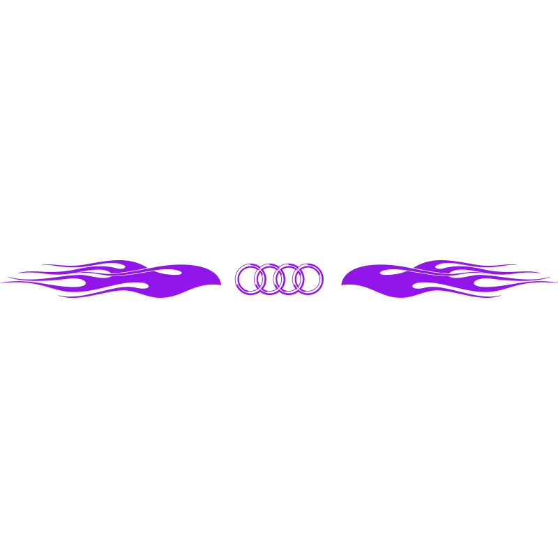 Pare soleil flaming audi