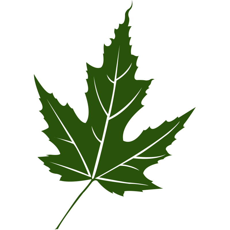 021 - Feuille