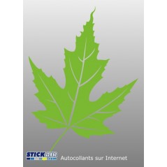 021 - Feuille