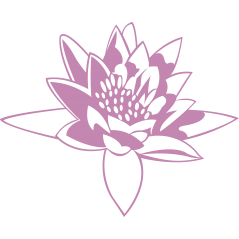 014 - Nenuphar 1