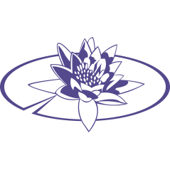 015 - Nenuphar 2