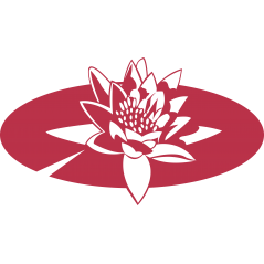 016 - Nenuphar 3