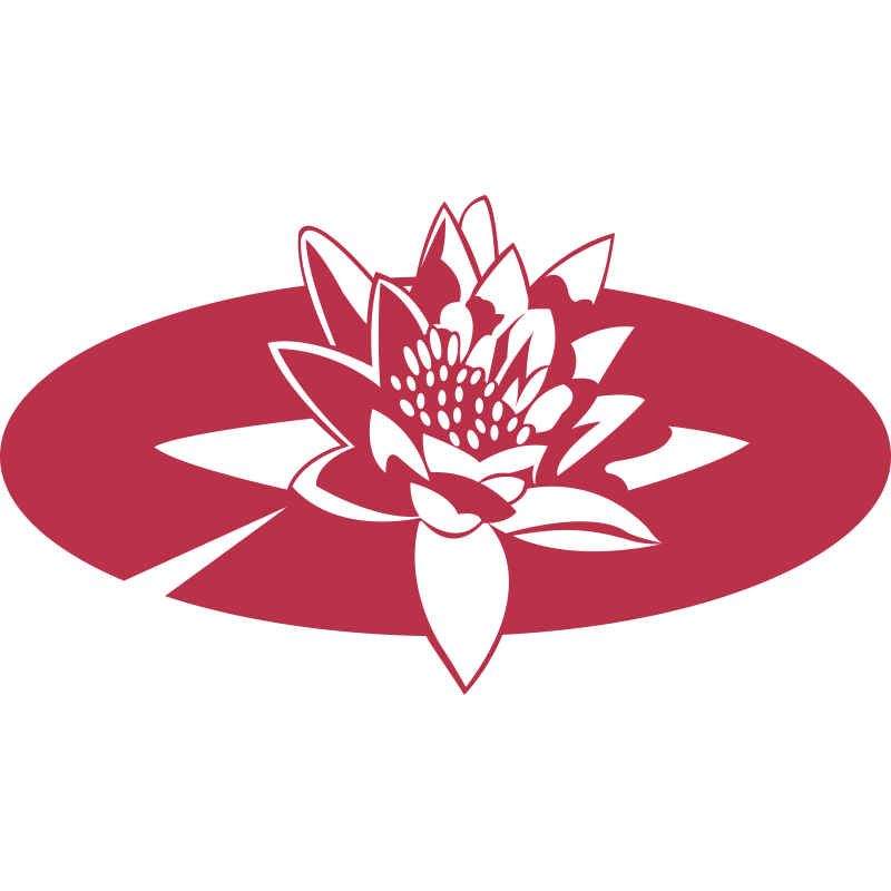 016 - Nenuphar 3