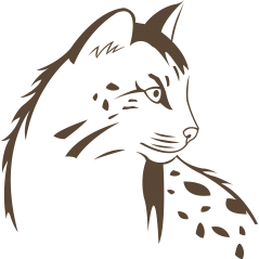 011 - Chat