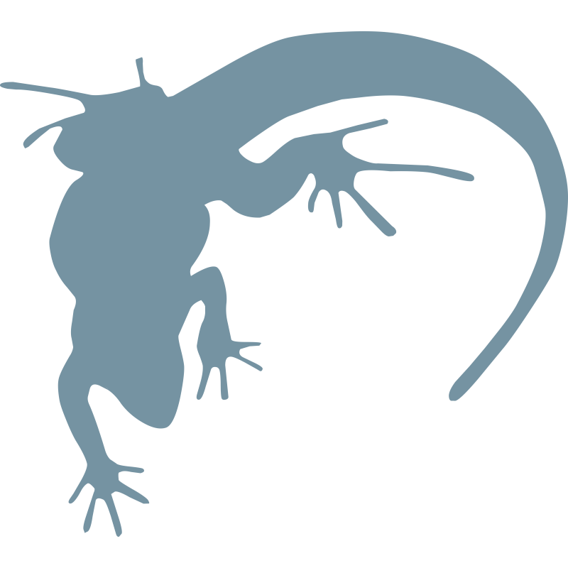 Gecko Gecko