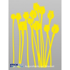 Bouquet pavot