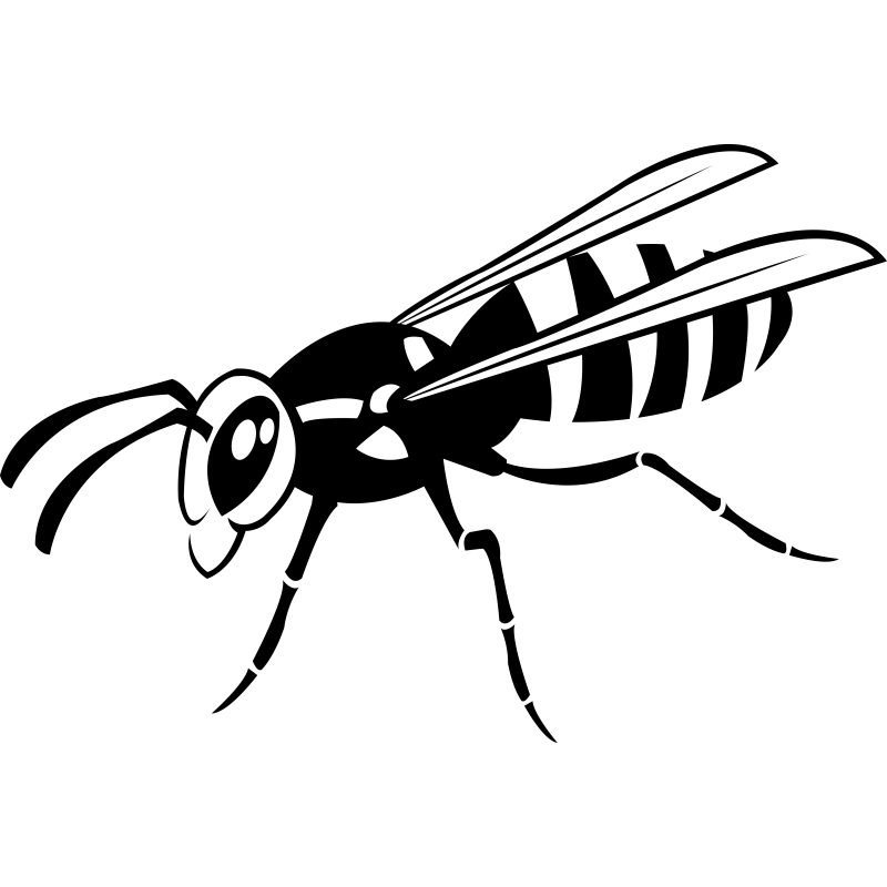 026 - Guêpe