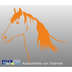 031 - Cheval