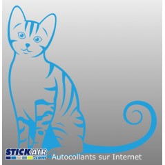 030 - Chat