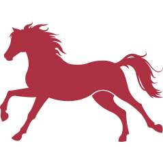 054 - Cheval au galop