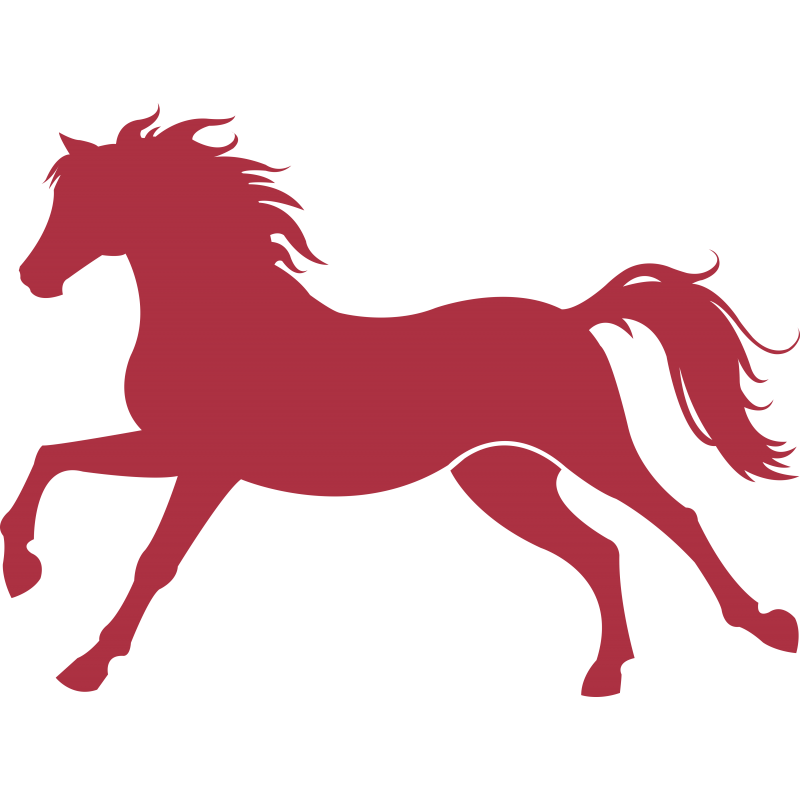054 - Cheval au galop