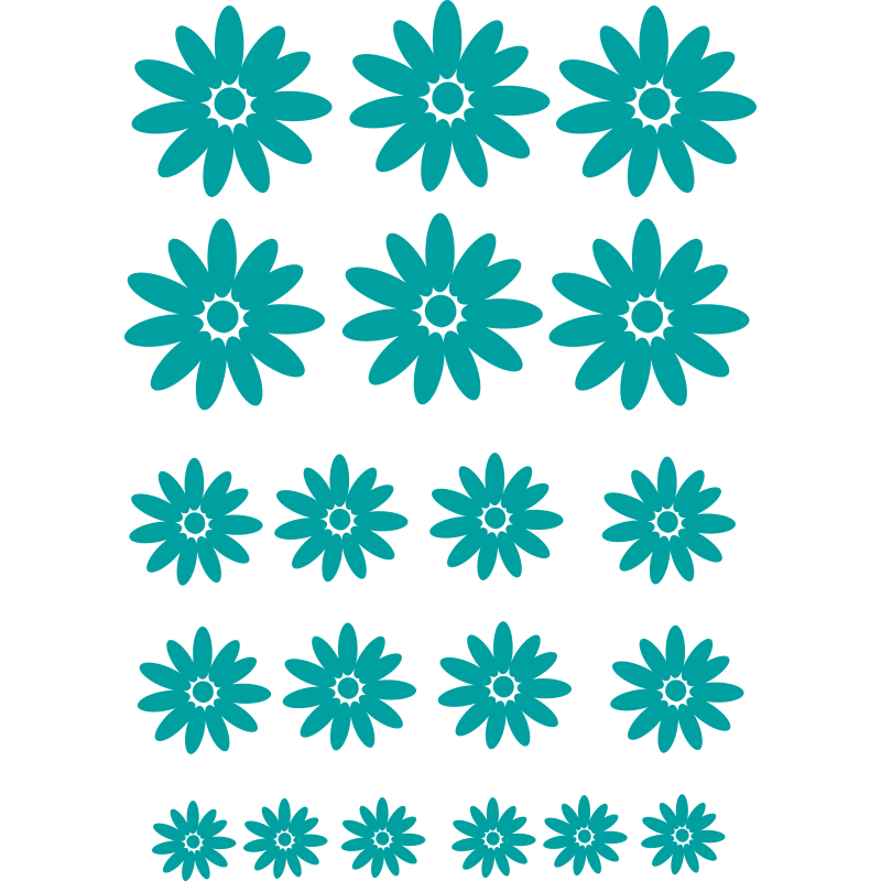 Planche marguerites soleil