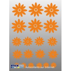 Planche marguerites soleil