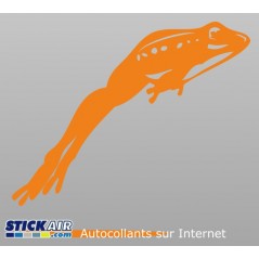 Grenouille