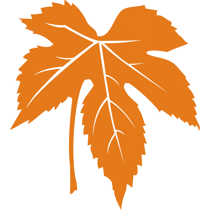 065 - Feuille de platane