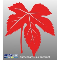 065 - Feuille de platane