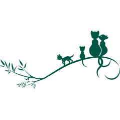 066 - Chats sur une branche