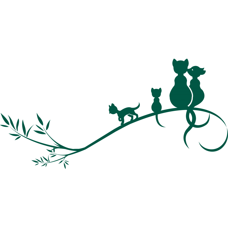 066 - Chats sur une branche