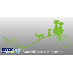066 - Chats sur une branche