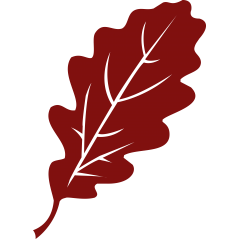 067 - Feuille de chêne